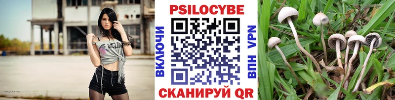 Псилоцибиновые грибы Psilocybine cubensis  где продают наркотики  Саров 