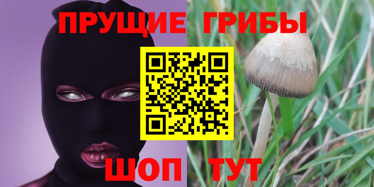 Галлюциногенные грибы GOLDEN TEACHER Саров